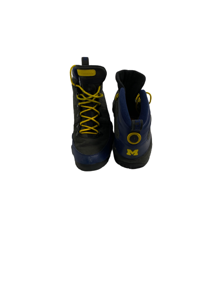 Michigan 2025 jordan 9