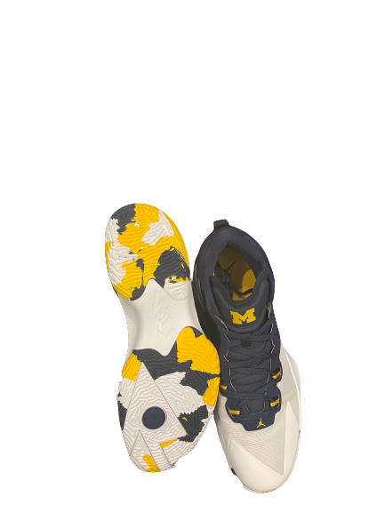 Isaiah Livers Michigan Basketball PLAYER EXCLUSIVE Zion Williamson Shoes NEW IN SIGNED BOX (Size 15)