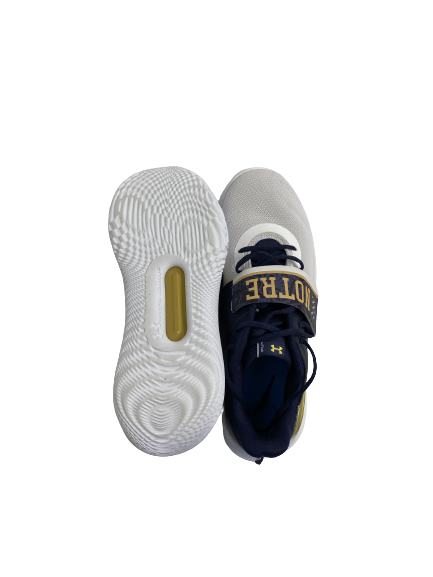 Trey Wertz Notre Dame Basketball Team-Issued Shoes (Size 14)