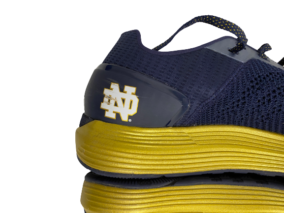 Dane Goodwin Notre Dame Basketball Team-Issued Shoes (Size 13)
