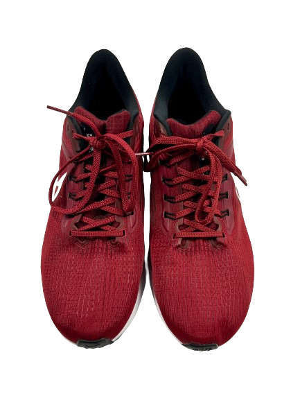 Nike pegasus size 9.5 2025