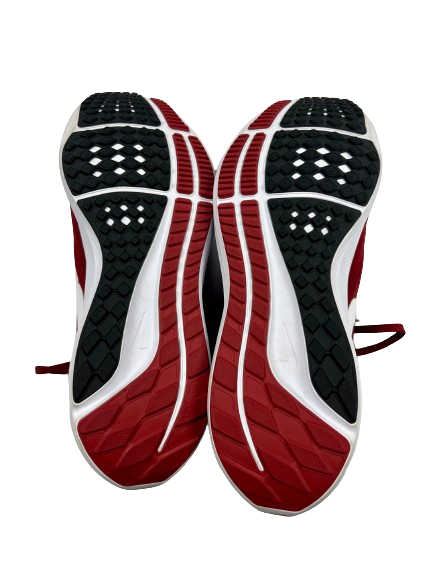 Patrick Cromer Oklahoma Football Team Issued Nike Pegasus 39 Shoes (Size 9.5)
