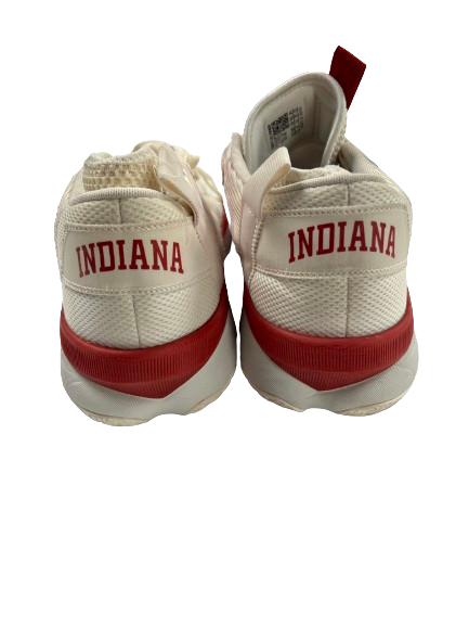 Kaleb Banks Indiana Basketball Player Exclusive "DAME 8" Shoes (Size 14)