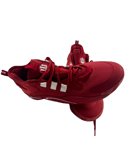 Kaleb Banks Indiana Basketball Player Exclusive Shoes (Size 13)