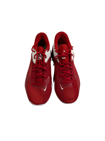 Jahvon Quinerly Alabama Basketball Team-Issued "GIANNIS FREAK " Shoes (Size 12.5)