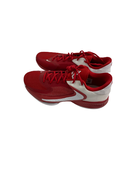 Jahvon Quinerly Alabama Basketball Team-Issued "GIANNIS FREAK " Shoes (Size 12)