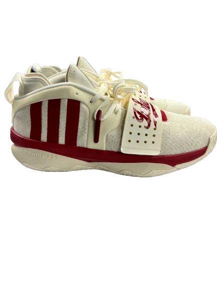 Arielle Wisne Indiana Basketball Player Exclusive Shoes (Size Men&