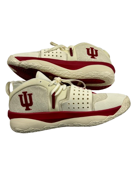 Arielle Wisne Indiana Basketball Player Exclusive Shoes (Size Men&