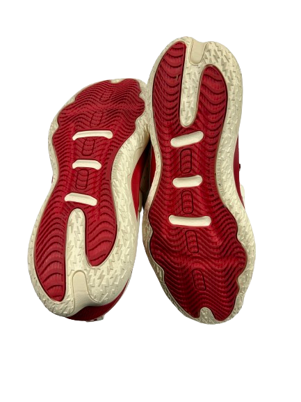 Arielle Wisne Indiana Basketball Player Exclusive Shoes (Size Men&