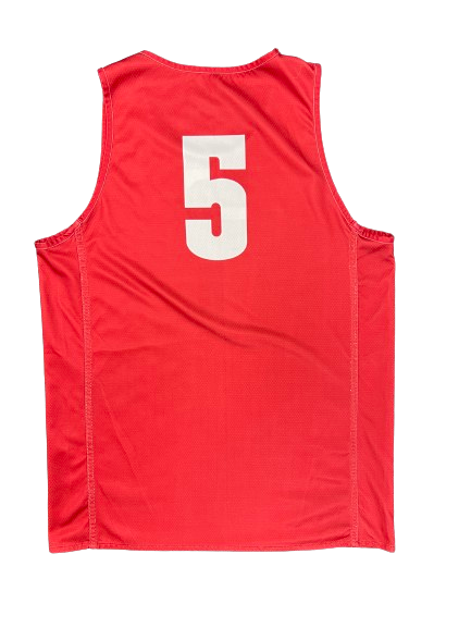 Tyler Wahl Wisconsin Basketball Player Exclusive Practice Jersey (Size XL)
