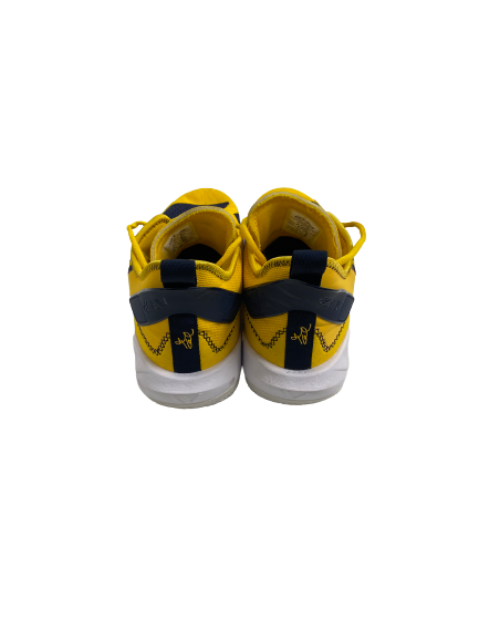 Leigha Brown Michigan Basketball Player-Exclusive Why Not Zero.4 Shoes (Size Men&