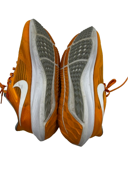 tennessee pegasus 38