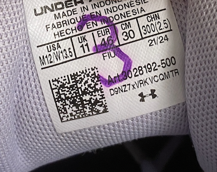 Ty Berry Northwestern Basketball Team Issued "Steph Curry" Shoes (Size 12)