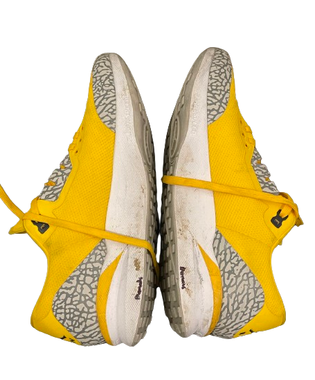 michigan football jordan shoes