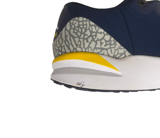 Alex Orji Michigan Football Player Exclusive "Jordan Run" Shoes (Size 14) - New