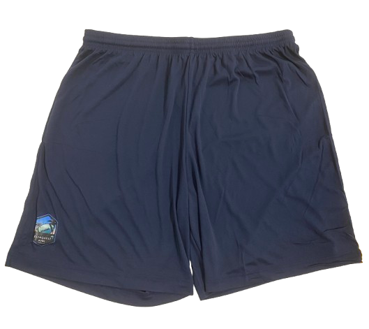 William Wagner Michigan Football Player Exclusive "12/31/24 ReliaQuest Bowl vs. Alabama" Warm-Up Shorts (Size XL)
