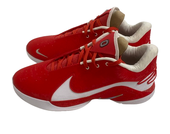 Micah Parrish Ohio State Basketball Player Exclusive "LeBron 22 XXII" Shoes (Size 14) - New
