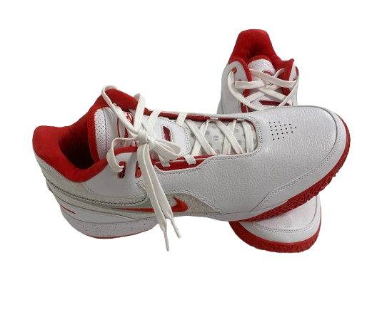 Micah Parrish Ohio State Basketball Player Exclusive "LeBron NXXT Gen" Shoes (Size 14) - New