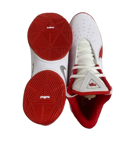 Micah Parrish Ohio State Basketball Player Exclusive "LeBron 22 XXII" Shoes (Size 14) - New