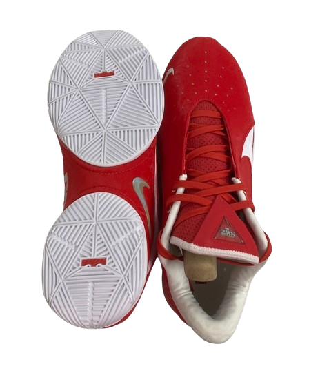 Micah Parrish Ohio State Basketball Player Exclusive "LeBron 22 XXII" Shoes (Size 14) - New