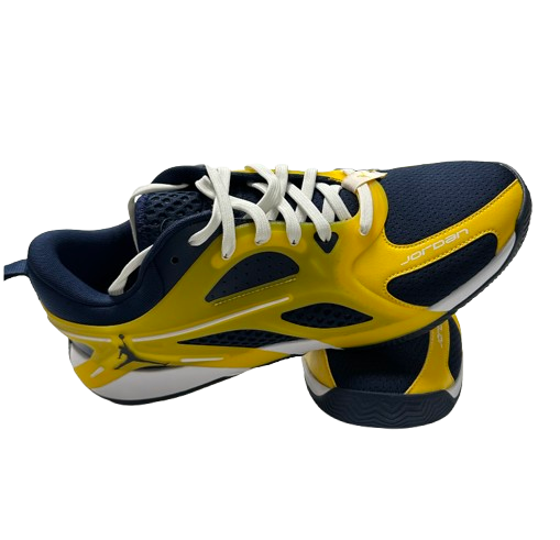 Justin Pippen Michigan Basketball Player Exclusive "Jordan Heir Series Michigan PE" Shoes (Size 11) - New