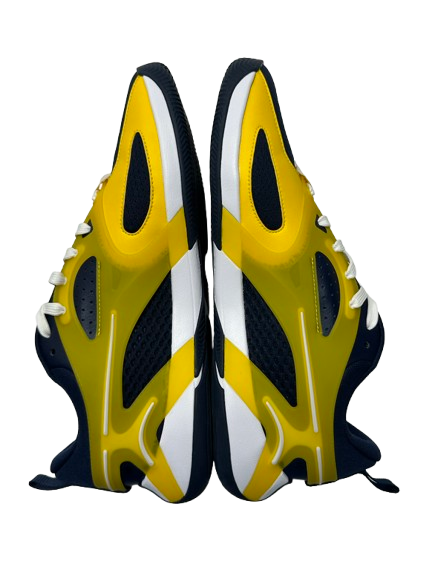 Justin Pippen Michigan Basketball Player Exclusive "Jordan Heir Series Michigan PE" Shoes (Size 11) - New