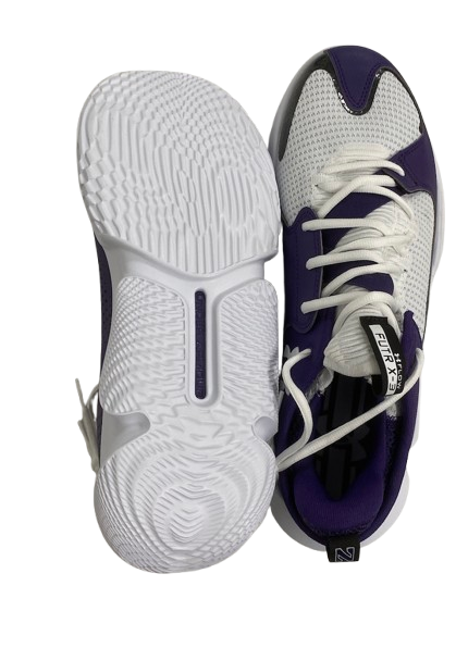 Ty Berry Northwestern Basketball Player Exclusive Shoes (Size 12) - New