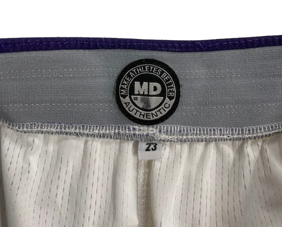 Ty Berry Northwestern Basketball Game Worn Shorts (Size M)