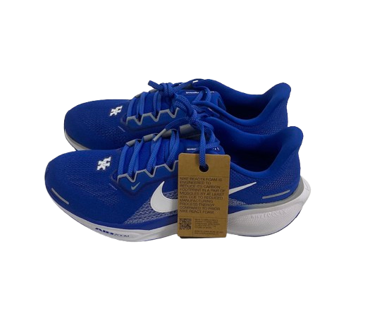 Kentucky Basketball Team Issued Nike Air Zoom Pegasus 41 Shoes (Size 10.5) - New