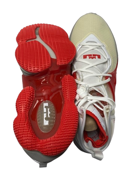 Eugene Brown III Ohio State Basketball Player Exclusive "LeBron 19" Shoes (Size 12.5)