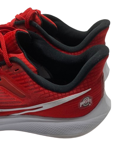 Eugene Brown III Ohio State Basketball Team Issued "Nike Pegasus 39" Shoes (Size 12.5)