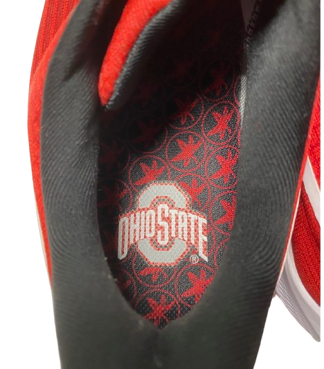 Eugene Brown III Ohio State Basketball Team Issued "Nike Pegasus 39" Shoes (Size 12.5)