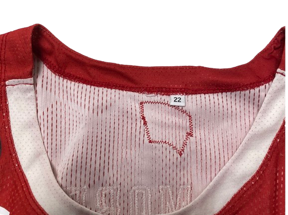 Carter Gilmore Wisconsin Basketball 2022 Game Worn Jersey (Size XL)