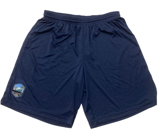 Micah Davis Michigan Football Player Exclusive "12/31/24 ReliaQuest Bowl vs. Alabama" Workout Shorts (Size L)