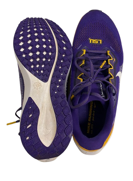 Ashley Vallejo LSU Softball Team Issued Nike Air Zoom Pegasus 41 Shoes (Size 6.5)