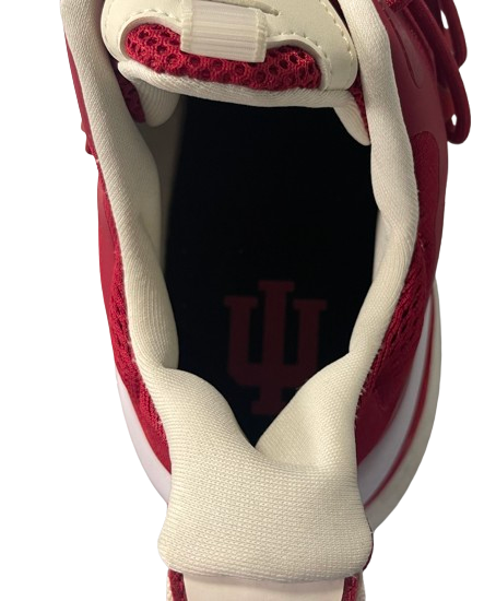 Indiana Basketball Team Issued Alphaboost V1 NCAA Pack Shoes (Size 14)