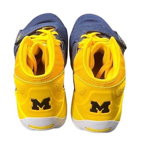 Whitney Sollom Michigan Basketball Player Exclusive "Jordan Zion 2" Shoes (Size 11.5)
