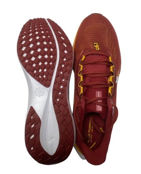 DJ Wingfield USC Football Player Exclusive Nike Zoom Pegasus 41 Shoes (Size 14)