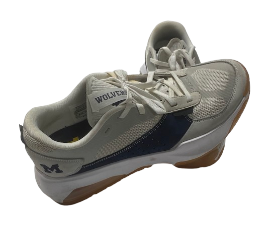 Whitney Sollom Michigan Basketball Team Issued Jordan Shoes (Size 11.5)