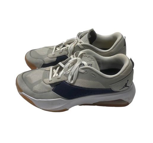 Whitney Sollom Michigan Basketball Team Issued Jordan Shoes (Size 11.5)