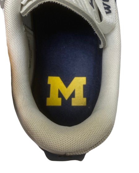 Whitney Sollom Michigan Basketball Team Issued Jordan Shoes (Size 11.5)
