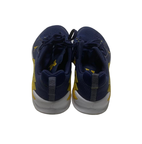 Whitney Sollom Michigan Basketball Team Issued Jordan Training Shoes (Size 11.5)
