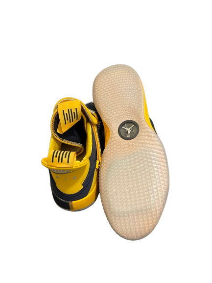 Adrien Nunez Michigan Basketball Player Exclusive Air Jordan 33 Shoes (Size 14) - New