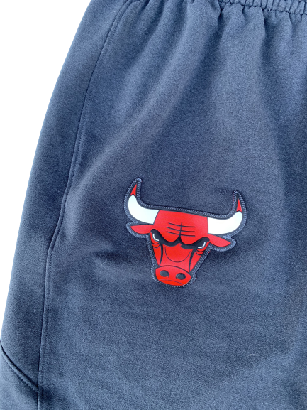 Daniel Gafford Chicago Bulls Sweat Shorts (Size XL)