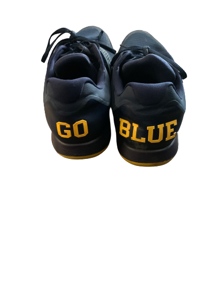Michigan Jordan Training Shoes (Size 15)