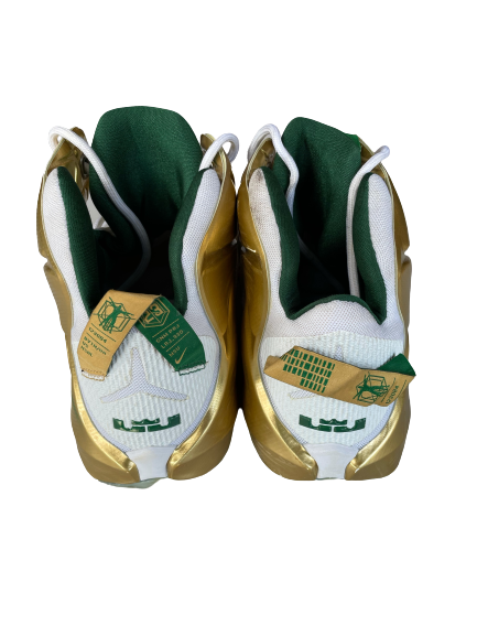 Kenny Goins Michigan State Basketball Game Worn Player Exclusive Shoes (Size 16)