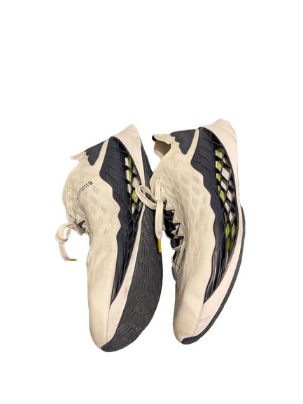 Michigan Basketball Team Issued Shoes (Size 15)