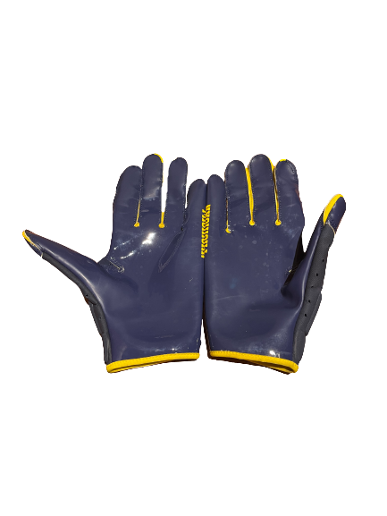 Vincent Gray Michigan Football Player Exclusive Gloves (Size XL)