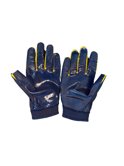 Nick Eubanks Michigan Football Game Worn Player Exclusive Gloves