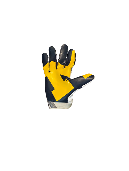 Nick Eubanks Michigan Football  Player Exclusive SINGLE Right Hand Glove